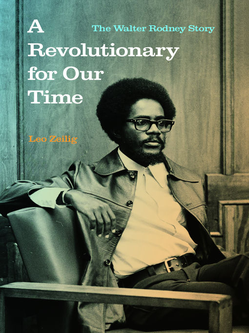 Cover image for A Revolutionary for Our Time